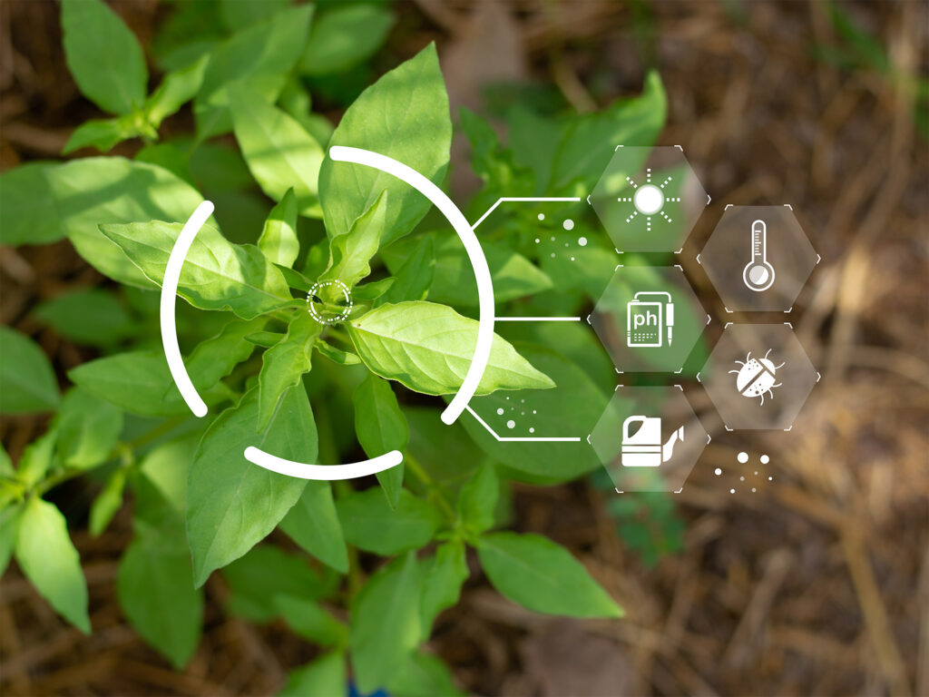 using-technology-inspect-organic-vegetable-garden-produce